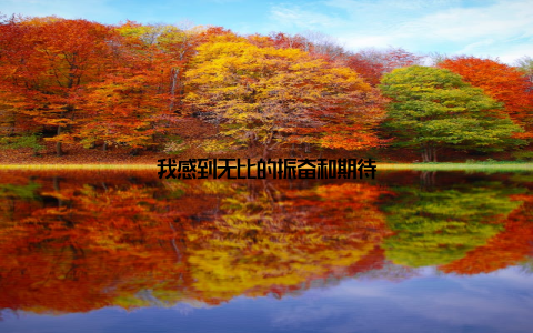 我感到无比的振奋和期待