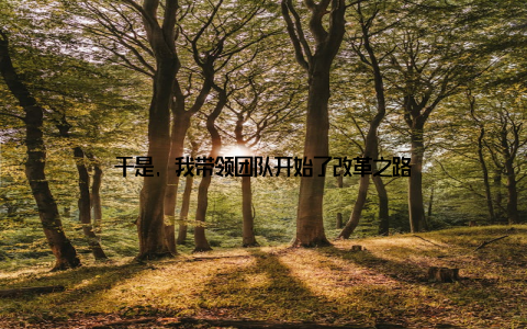 于是, 我带领团队开始了改革之路