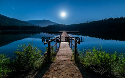 食品安全, 重于泰山