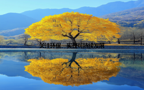 关注环保, 实现可持续发展