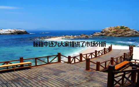 秘籍中还为大家提供了市场分析