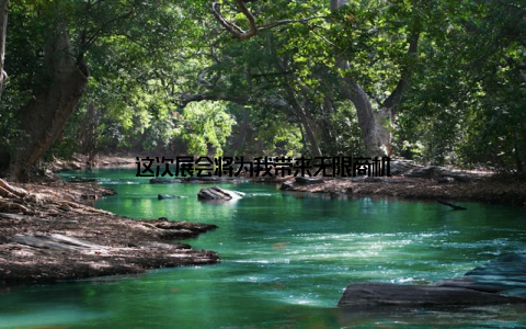 这次展会将为我带来无限商机