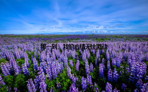 那一刻, 我的心情无比激动