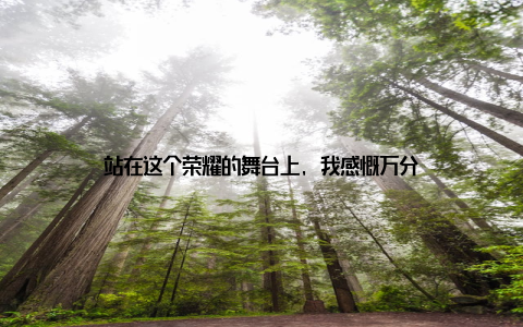 站在这个荣耀的舞台上, 我感慨万分