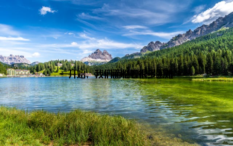 一开始, 我们面临着很多困难