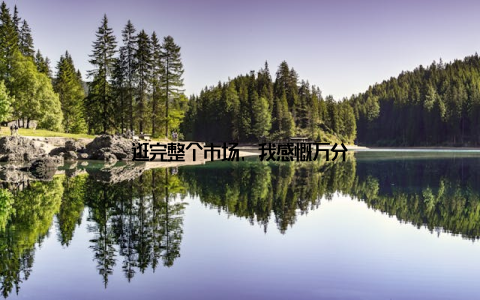 逛完整个市场, 我感慨万分