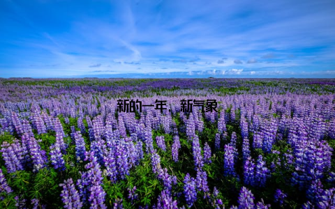 新的一年, 新气象