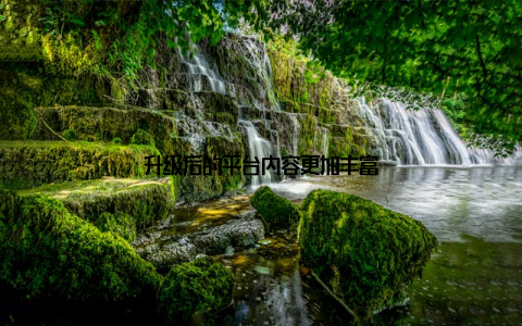 升级后的平台内容更加丰富