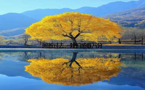 回首过去, 我们感慨万分