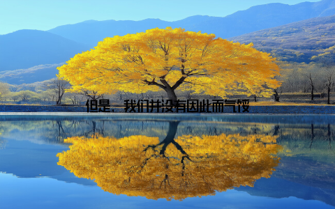 但是, 我们并没有因此而气馁