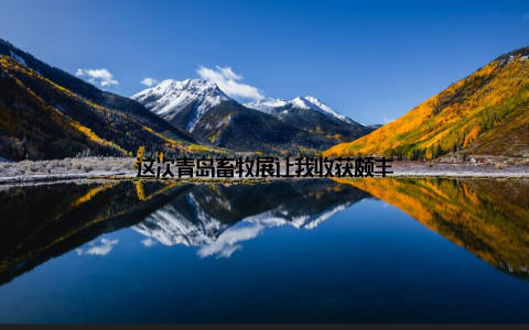 这次青岛畜牧展让我收获颇丰