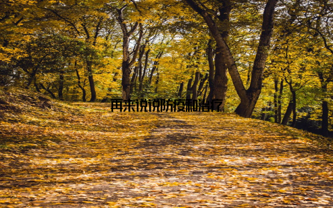 再来说说防疫和治疗
