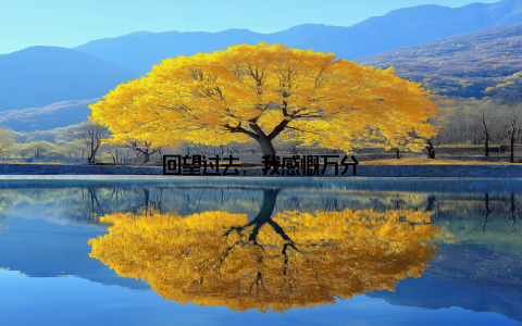 回望过去, 我感慨万分