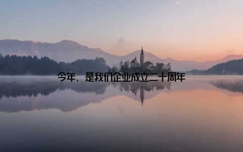 今年, 是我们企业成立二十周年