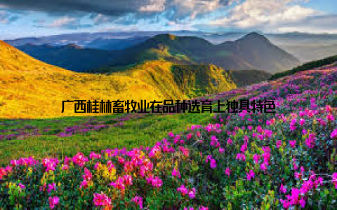 广西桂林畜牧业在品种选育上独具特色