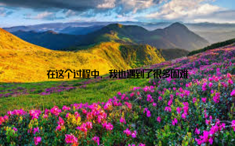 在这个过程中, 我也遇到了很多困难