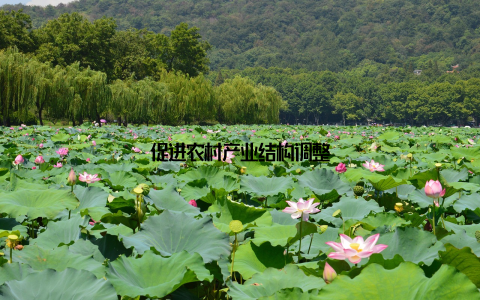 促进农村产业结构调整