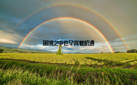 困境之中也孕育着机遇