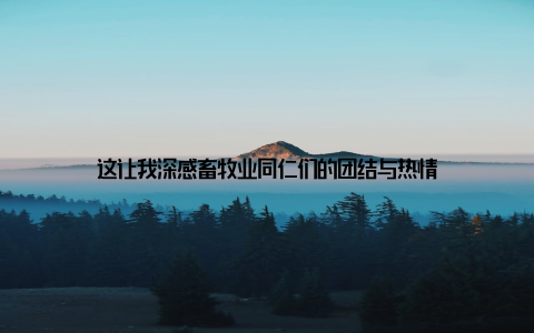 这让我深感畜牧业同仁们的团结与热情