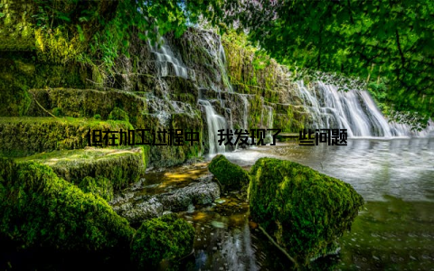 但在加工过程中, 我发现了一些问题